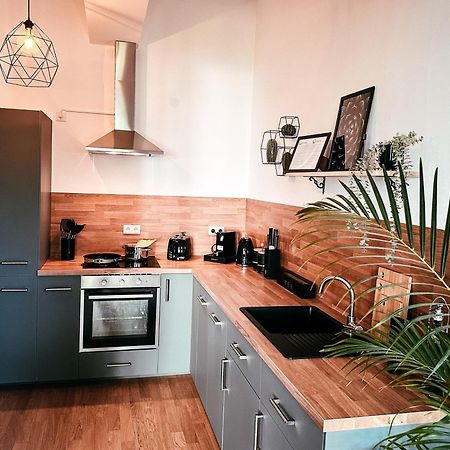Oasis Appart - Wohnen Im Koenigspark - Elbhang Dresden - Grosse Terrasse - Netflix - Tg Zewnętrze zdjęcie