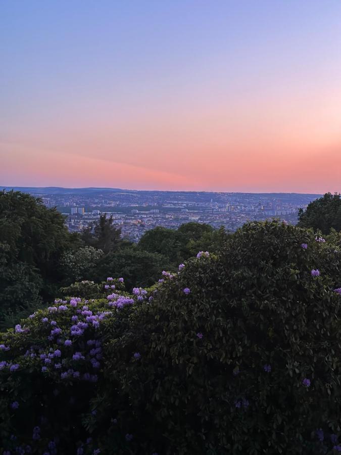 Oasis Appart - Wohnen Im Koenigspark - Elbhang Dresden - Grosse Terrasse - Netflix - Tg Zewnętrze zdjęcie