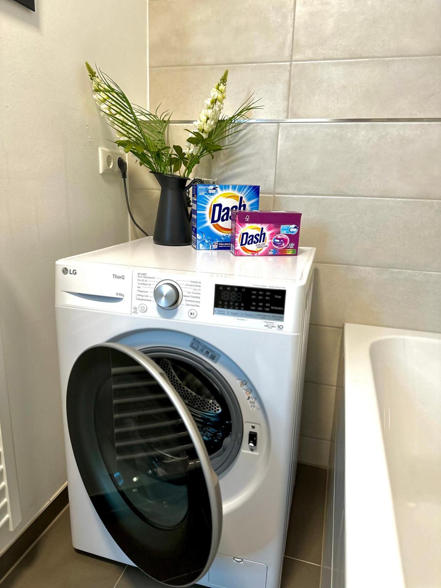 Oasis Appart - Wohnen Im Koenigspark - Elbhang Dresden - Grosse Terrasse - Netflix - Tg Zewnętrze zdjęcie
