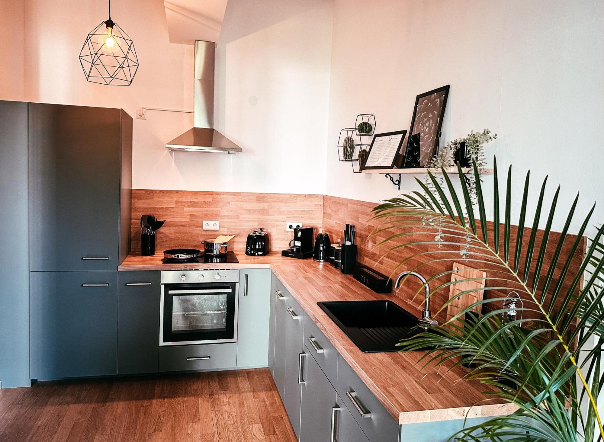 Oasis Appart - Wohnen Im Koenigspark - Elbhang Dresden - Grosse Terrasse - Netflix - Tg Zewnętrze zdjęcie