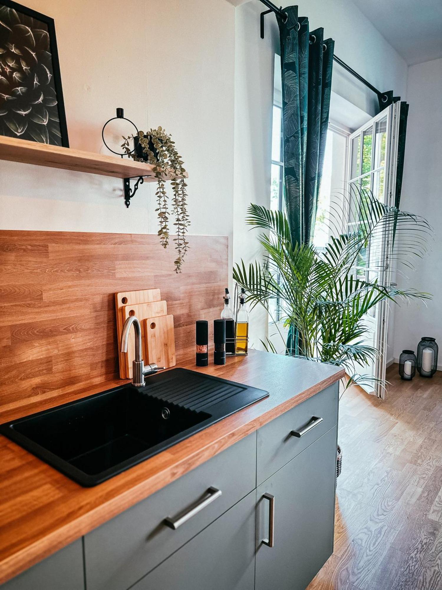 Oasis Appart - Wohnen Im Koenigspark - Elbhang Dresden - Grosse Terrasse - Netflix - Tg Zewnętrze zdjęcie